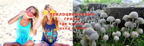 ГАЛЛЮЦИНОГЕННЫЕ ГРИБЫ Алексин